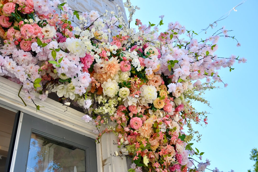 Photo Flower bouquet